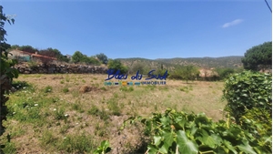 terrain à la vente -   66500  CODALET, surface 1615 m2 vente terrain - UBI480518105